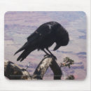 Search for raven mousepads Bird