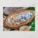 Search for cacao postcards Fruit