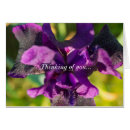 Search for within cards Floral