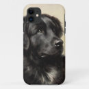 Search for newfoundland dog iphone cases Dogs