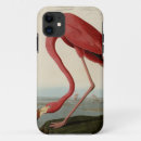 Search for john james audubon iphone cases Flamingo