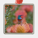 Search for collar christmas tree decorations Nature