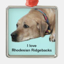 Search for rhodesian ridgeback christmas tree decorations Dog lover