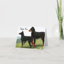 Search for doberman stamp cards Animal