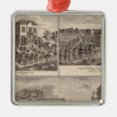 Search for iowa christmas tree decorations County