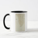Search for cape point mugs May