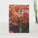 Search for crisp cards Autumn