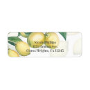 Search for organization return address labels Organic