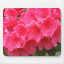 Search for puget mousepads Magnolia