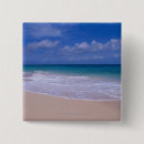 Search for tropical climate badges Scene