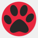 Search for black cat Pet