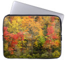 Search for appalachian electronics Foliage