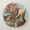 Search for sea life cushions Seashell