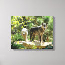 Search for grey wolf canvas prints Animal photography