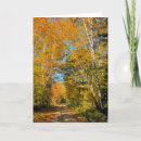 Search for roads cards Forest
