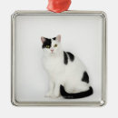 Search for black and white spots christmas tree decorations Cute