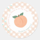 Search for peach baby shower Summer