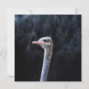 Search for funny face seasonal cards Cute