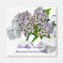 Search for shrub magnets Bloom