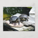 Search for sunny horizontal postcards Rocks