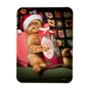 Search for funny holiday magnets Winter