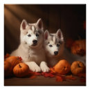 Search for siberian husky puppy posters Animal