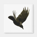 Search for crow magnets Wild