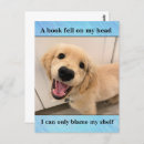 Search for funny meme postcards Joke