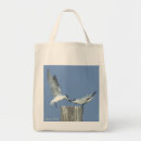 Search for gulls bags Ocean