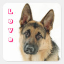 Search for german shepherd dog stickers Puppies