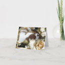 Search for cavalier king spaniel cards Pet