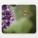 Search for pollen electronics Insect