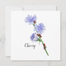 Search for edibles cards Edible flowers