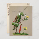 Search for grasshoppers postcards Flower