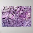 Search for prismatic art Abstract