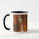 Search for antelope mugs Nature
