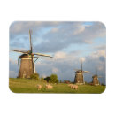 Search for sheeps magnets Nature