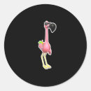 Search for funny flamingo stickers Birds