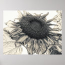 Search for vintage botanical sunflower posters Country