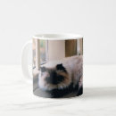 Search for himalayan mugs Cats
