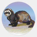 Search for ferret stickers Pet