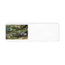 Search for feather return address labels Bird