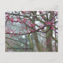 Search for budding cards Tree