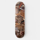 Search for delicious skateboards Yummy