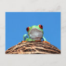 Search for tree red postcards Exotic