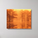 Search for cypress canvas prints George smith state park