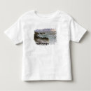 Search for fuca Landscape