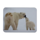 Search for cold temperature cards Photography