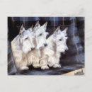 Search for scotty postcards Vintage