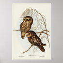 Search for spots posters Wildlife
